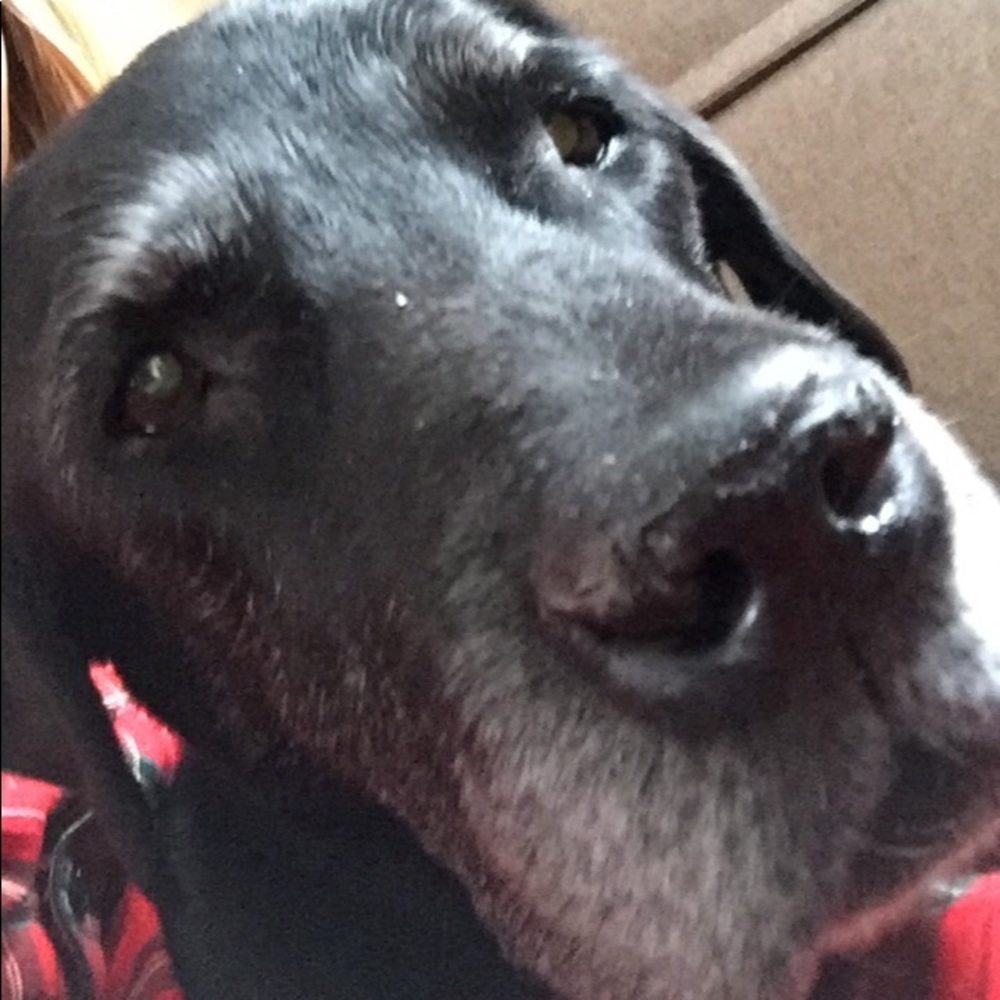 Meet your Posher, Kalin